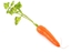 Immagine di Carota 26 x 3,5 x 3,5 cm