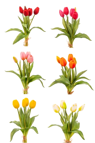 Picture of BUNDLE TULIPANI NATURAL TOUCH H.CM.35