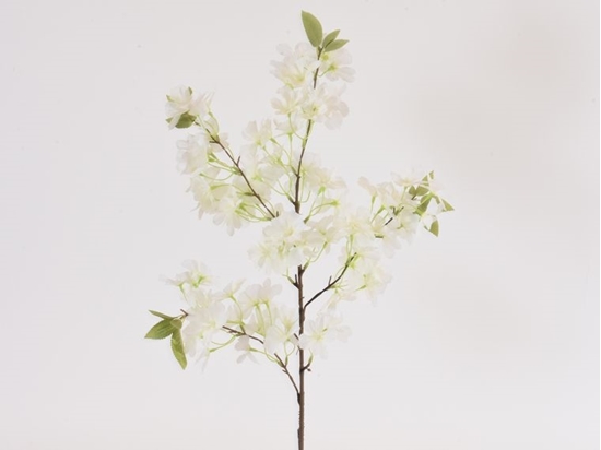 Immagine di Ramo di ciliegio in fiore 104 cm