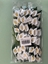 Picture of CALLA MEDIA SINGOLACON FOGLIA CF. 72 PZ