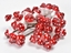 Immagine di FUNGHI /48PZ IN PVC BOX ROSSO