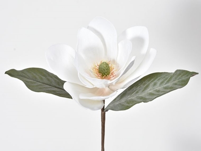 Immagine di MAGNOLIA PICK 30CM BIANCA VELUTO