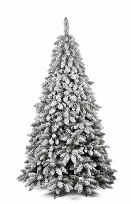 Immagine di ALBERO COURMAYEUR CM.210 TIPS 1194 ø CM.119