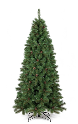 Immagine di ALBERO MINNESOTA CM.240 T.1604 DM.139