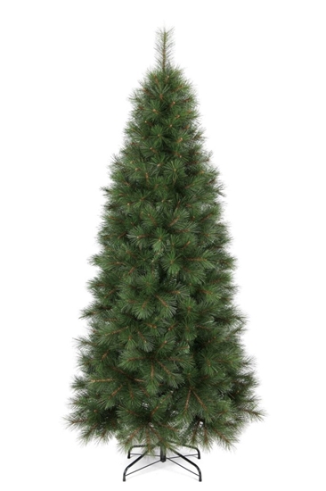 Immagine di ALBERO SLIM MONTANA CM.210 TIPS 656 ø CM.96