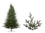 Immagine di ALBERO STANFORD CM.240 TIPS22223 ø CM.182 HINGED