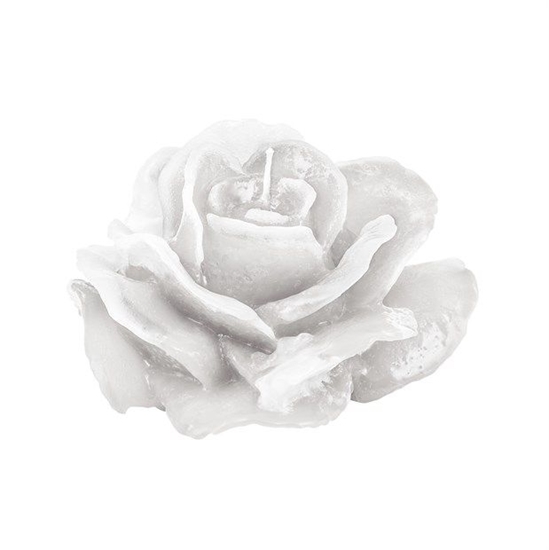 Picture of ROSA AMORE CERA H. 60 D. 110 MM