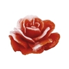 Picture of ROSA AMORE CERA H. 60 D. 110 MM