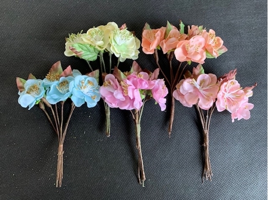 Immagine di FIOR DI PESCO  CF 72 PZ