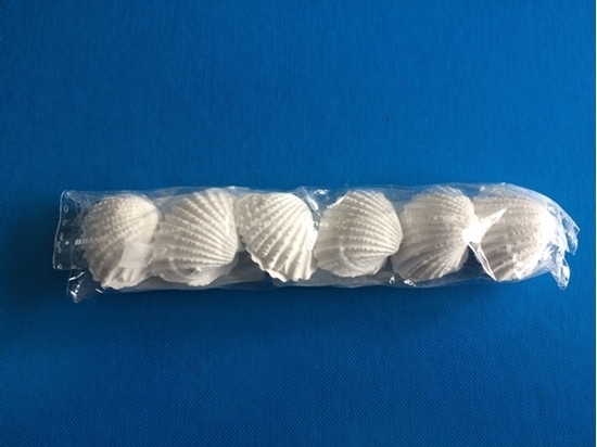 Immagine di GESSETTO CONCHIGLIA CF. 10 PZ.