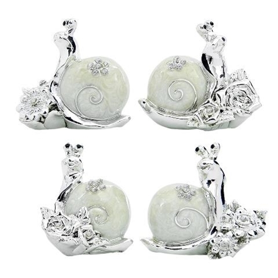 Immagine di LUMACA BIANCA GR. A SS. CM. 6