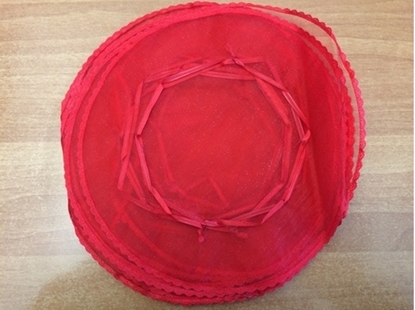 Picture of CENTRINO MERL. TONDO ROSO CF. 12 PZ.