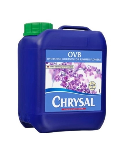 Immagine di CHRYSAL OVB GYPSOFILA 5 LT