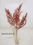 Immagine di DECO CORAL BRANCH SPRAY