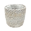 Immagine di CASPO' PLASTICA COMPOSTABILE WILLO D20 H18