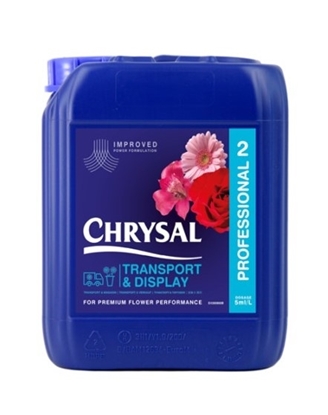 Immagine di CHRYSAL PROFESSIONAL 2 NG 5 LT.