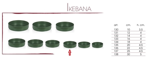 Immagine di CIOTOLA IKEBANA C/FS D.14 CF. 15 PZ.