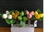 Immagine di MINI PERA PICK W/3 FRUIT CM. 16