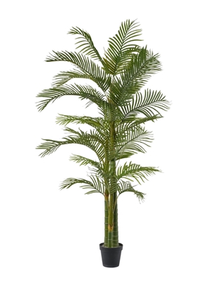 Immagine di PIANTA  FOGLIE  PALMA  H.212 CM