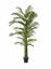 Immagine di PIANTA  FOGLIE  PALMA  H.212 CM