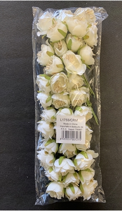 Immagine di MINI ROSA CON SEMI CF 36 PZ