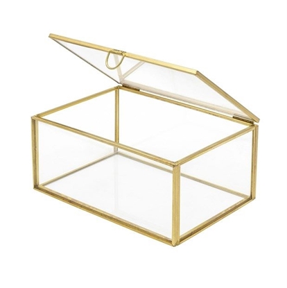 Immagine di TERRARIUM PORTAPIANTA 70X105X150 MM