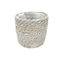 Picture of CASPO' PLASTICA COMPOSTABILE WILLO D14 H13