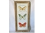 Picture of QUADRO 40X85CM CON FARFALLE