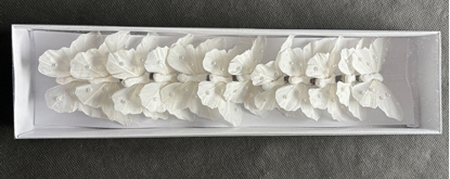 Picture of FARFALLA BIANCA 6-8  CM CF 12 PZ