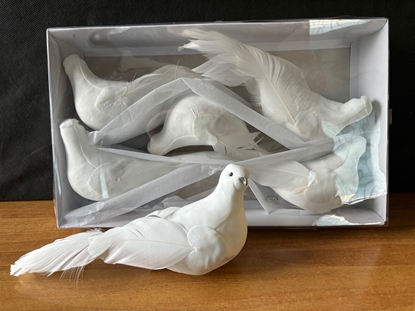 Picture of COLOMBA 23 CM CF 6 PZ