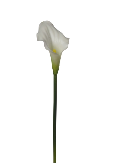 Picture of CALLA RAMO L.58 CM