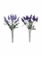 Immagine di MAZZO LAVANDA X 10 CM 32