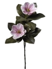 Immagine di RAMO MAGNOLIA X 2   CM 85