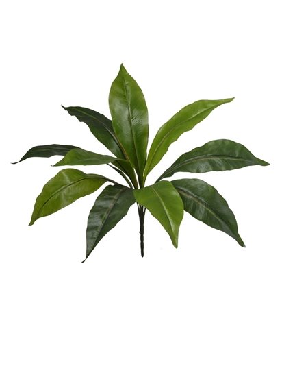 Immagine di MAZZO DRACENA X 11 LVS CM 40