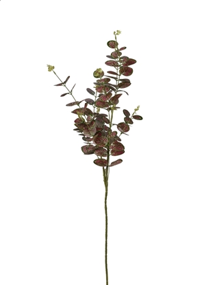 Immagine di RAMO COLEUS CM 95 - RED GREEN