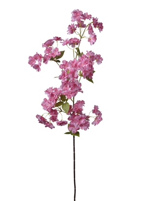 Immagine di RAMO PESCO CM 100