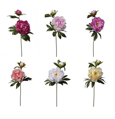 Immagine di RAMO PEONIA X 2 CM 20*15*63