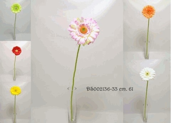Immagine di GERBERA SPRAY 61cm