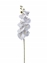 Immagine di RAMO ORCHIDEA CM 90