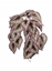 Immagine di CADENTE BEGONIA CM 50x38x28