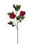Immagine di RAMO ROSA  X 2 FIORI + 2 BOC.55 CM