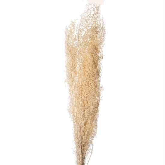 Immagine di BRIZZONE BIANCO 01 SACCHETTO X 200 GR