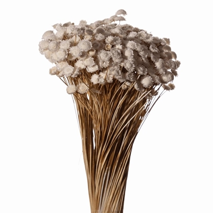 Immagine di GLIXIA GIGANTE BIANCO 01 SACCHETTO X 100 GR