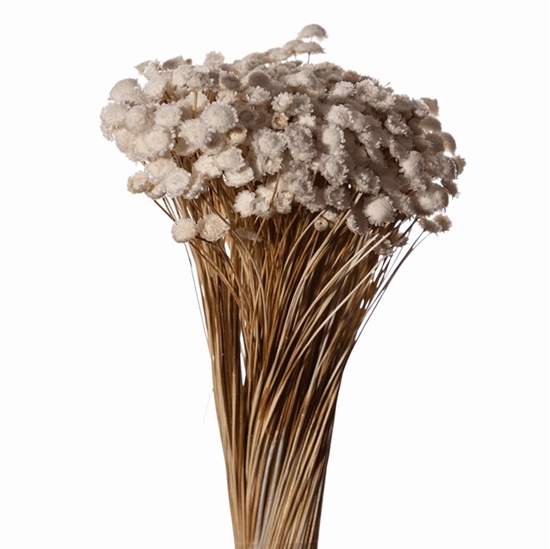 Immagine di GLIXIA GIGANTE BIANCO 01 SACCHETTO X 100 GR