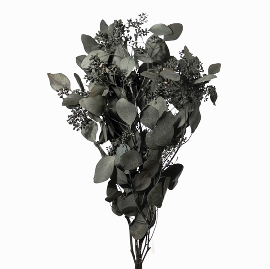 Immagine di EUCALIPTUS STABILIZZATO POPULUS CAP VERDE X 150 GR