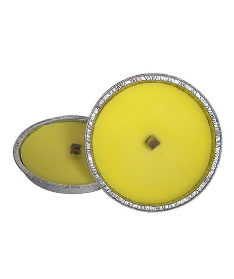 Immagine di FIACCOLA CITRONELLA ALLUMINIO D.16,5 CM. ( CRT.32)