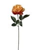Picture of RAMO ROSA  SINGOLO 66CM