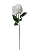Picture of RAMO ROSA  SINGOLO 66CM
