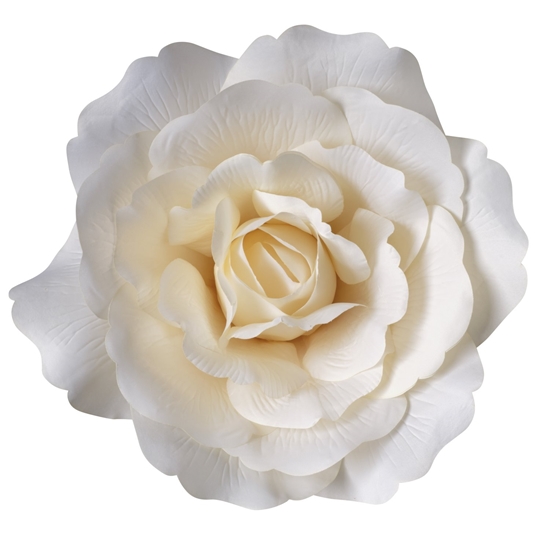 Picture of TESTA ROSA XL 45 CM
