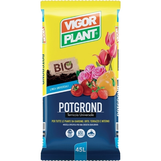 Picture of TERRICCIO POTGROUND LT. 45